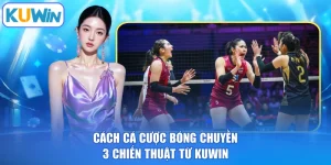 Cách Cá Cược Bóng Chuyền - 3 Chiến Thuật Từ KUWIN