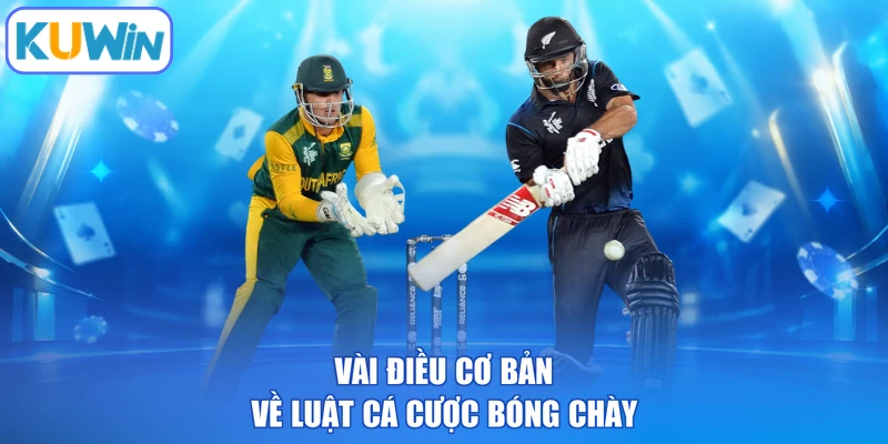 Vài điều cơ bản về luật cá cược bóng chày